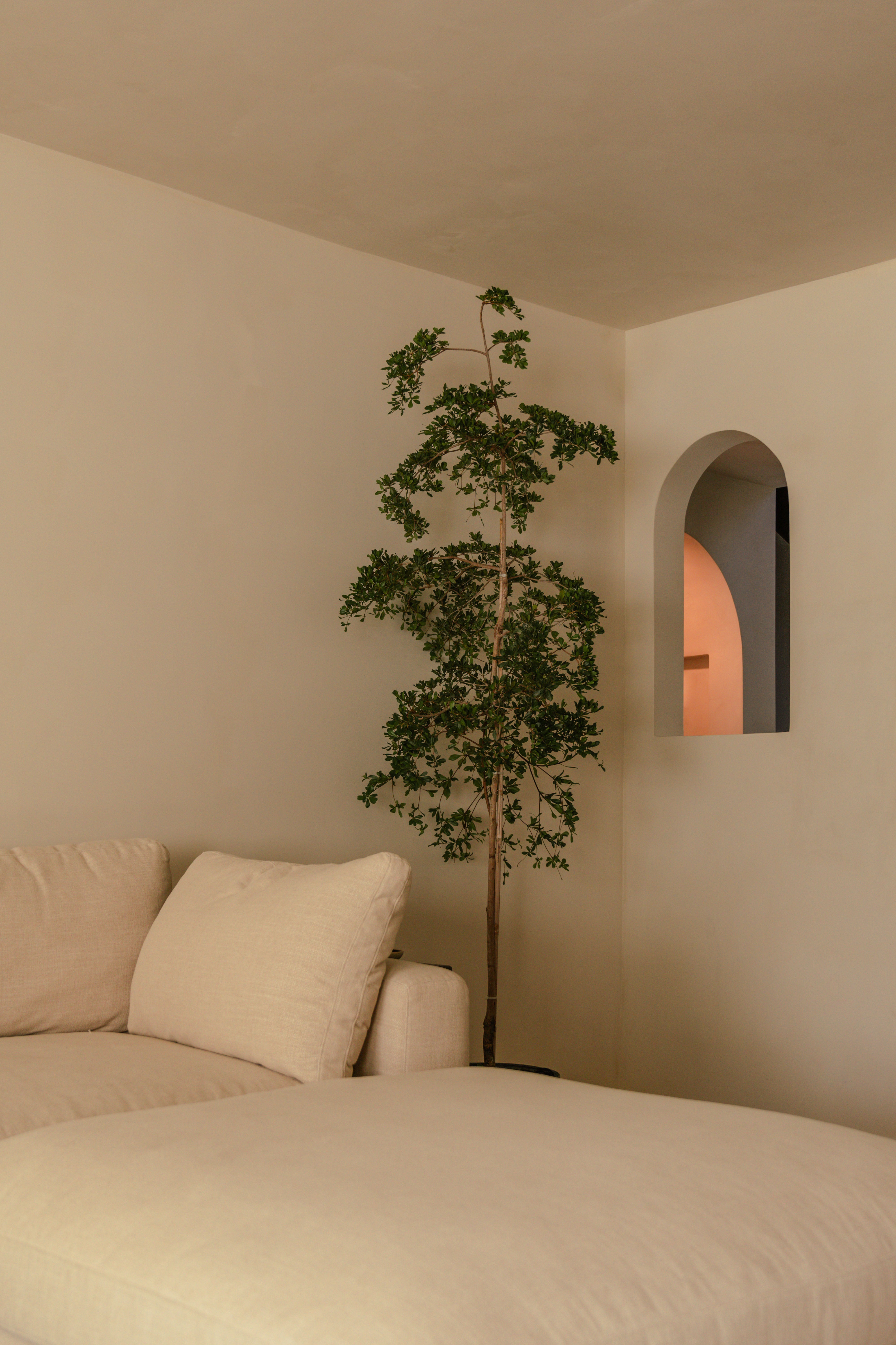 Portola Paints | Eastwood Lime Wash