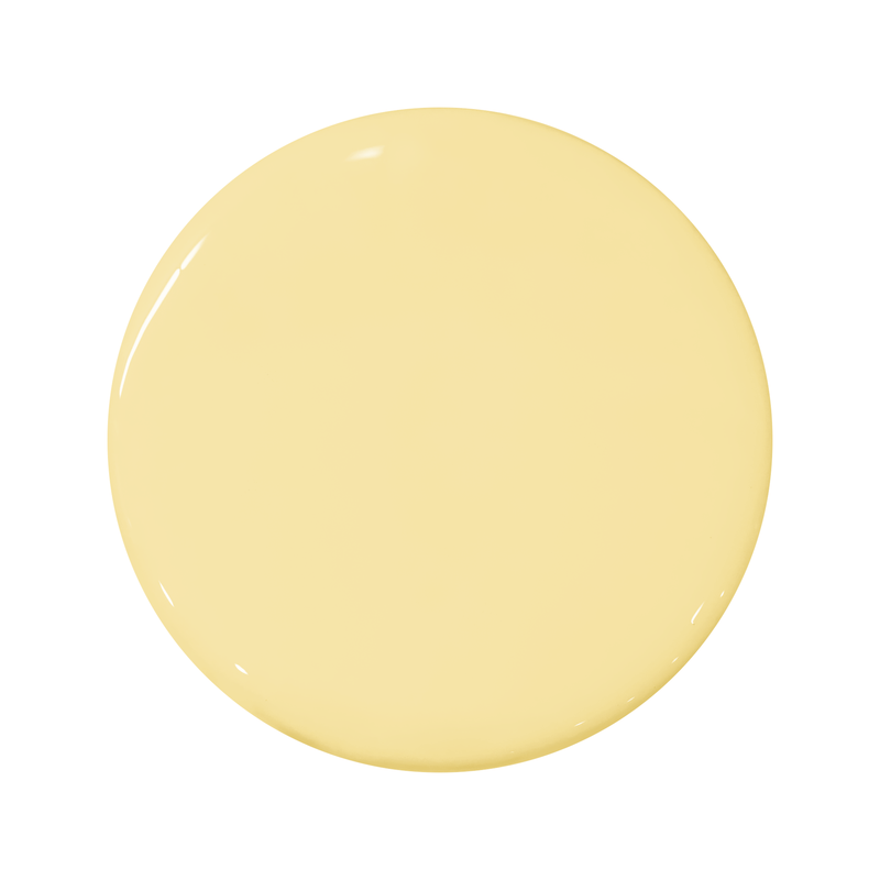 Portola Paints Shasta Daisy Acrylic Series