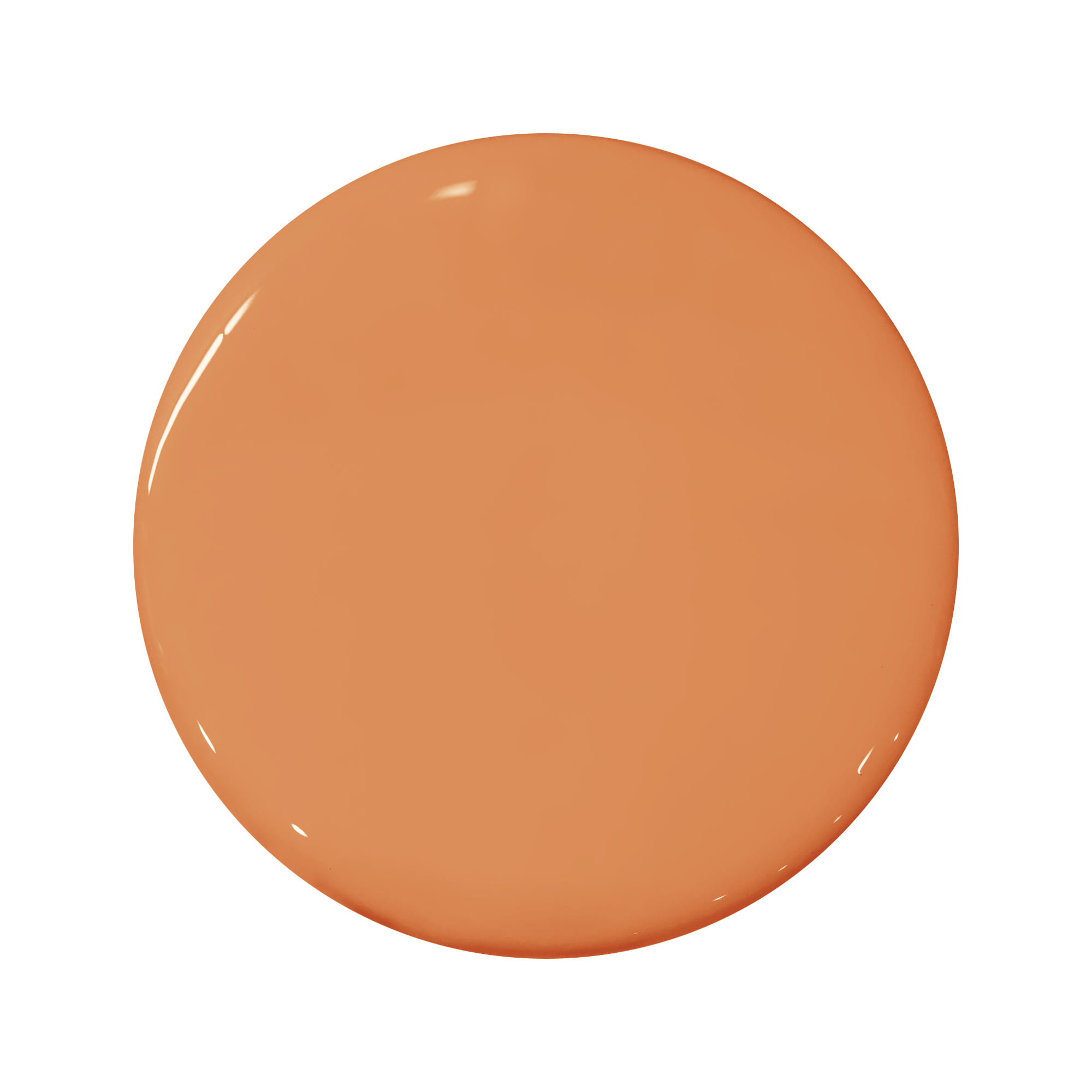 Portola Paints | El Coyote Lime Wash Color Match