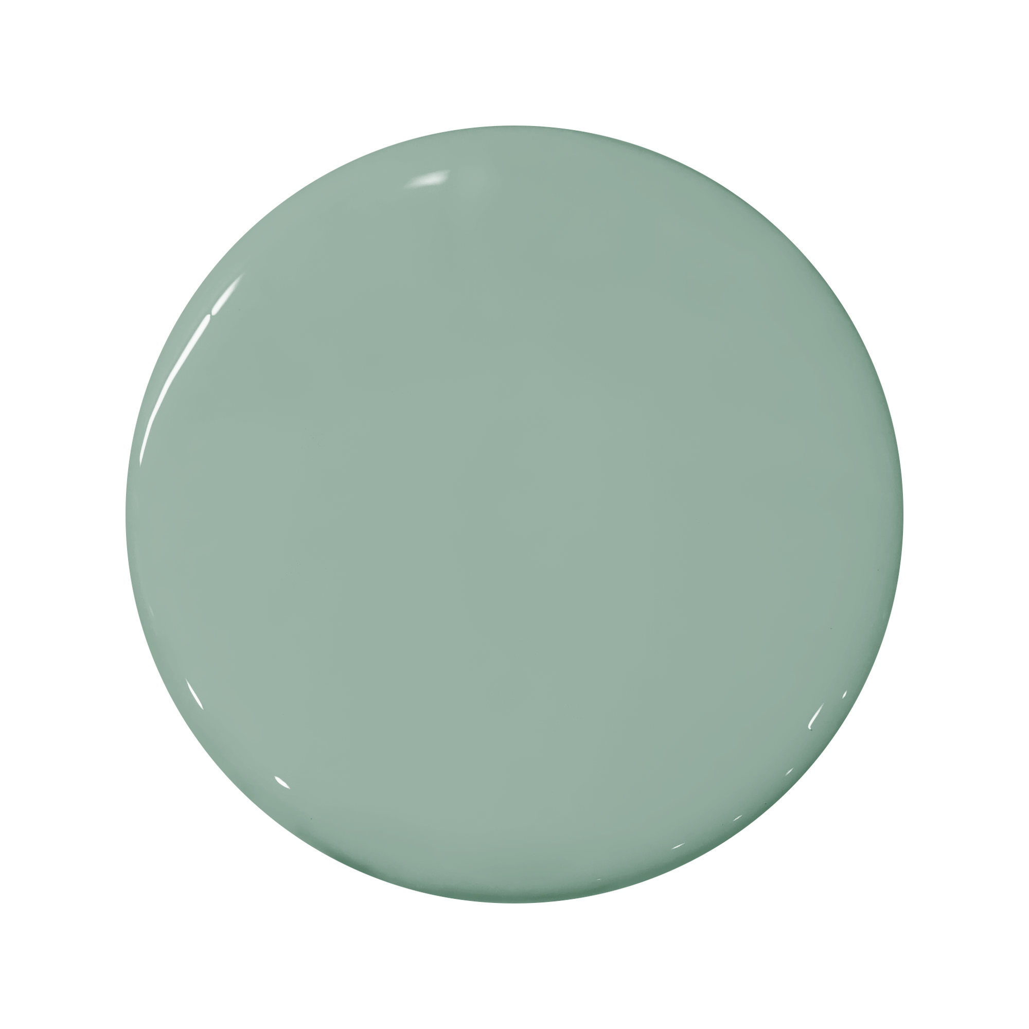 Portola Paints | Rococo Lime Wash Color Match