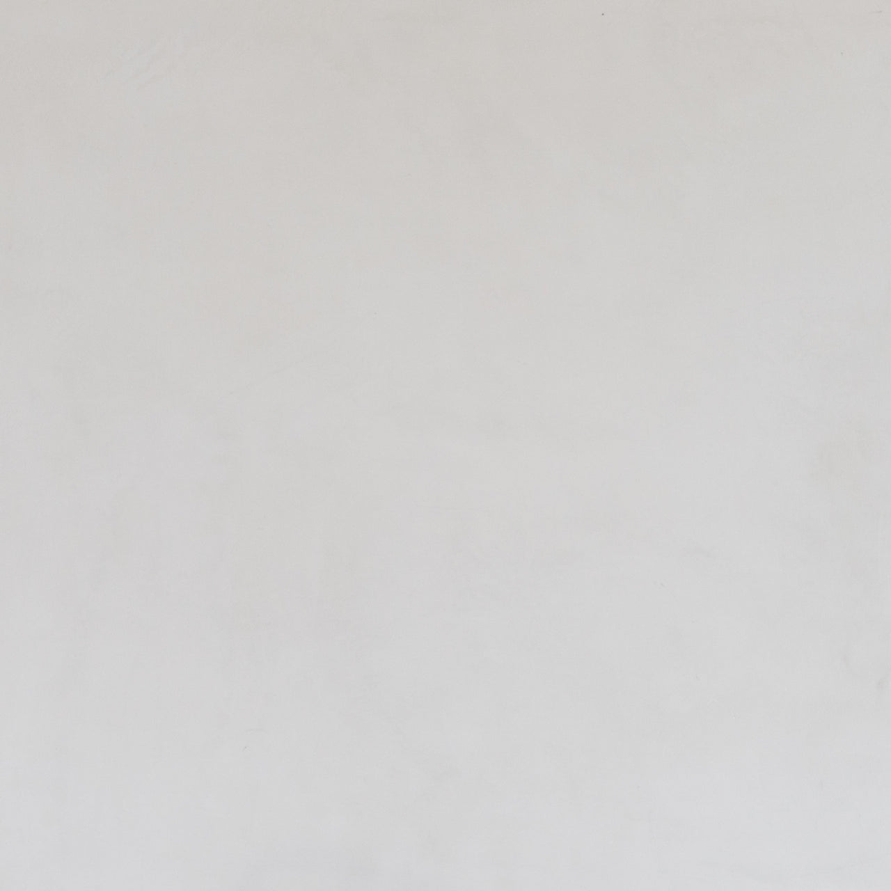 Roman Clay Portola Paints